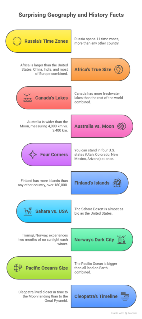 Life Map Insights
