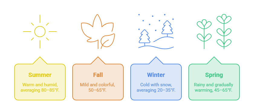 Climate & Weather