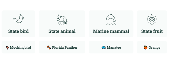All About Florida From Miami to the Everglades and Beyond 4 State Symbols