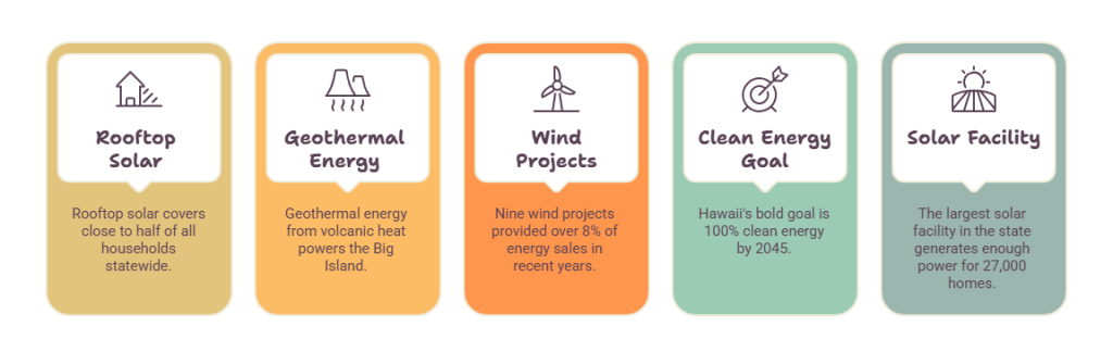 Sustainability & Renewable Energy